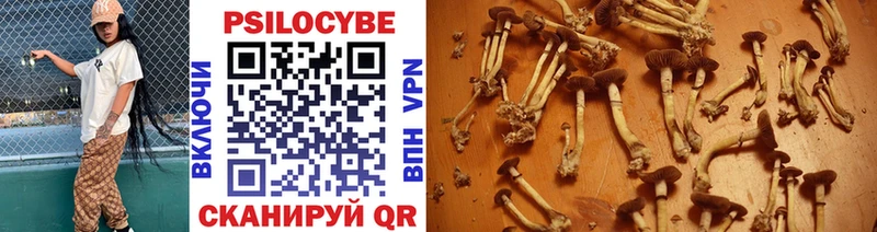 Галлюциногенные грибы GOLDEN TEACHER  как найти   Бабушкин 